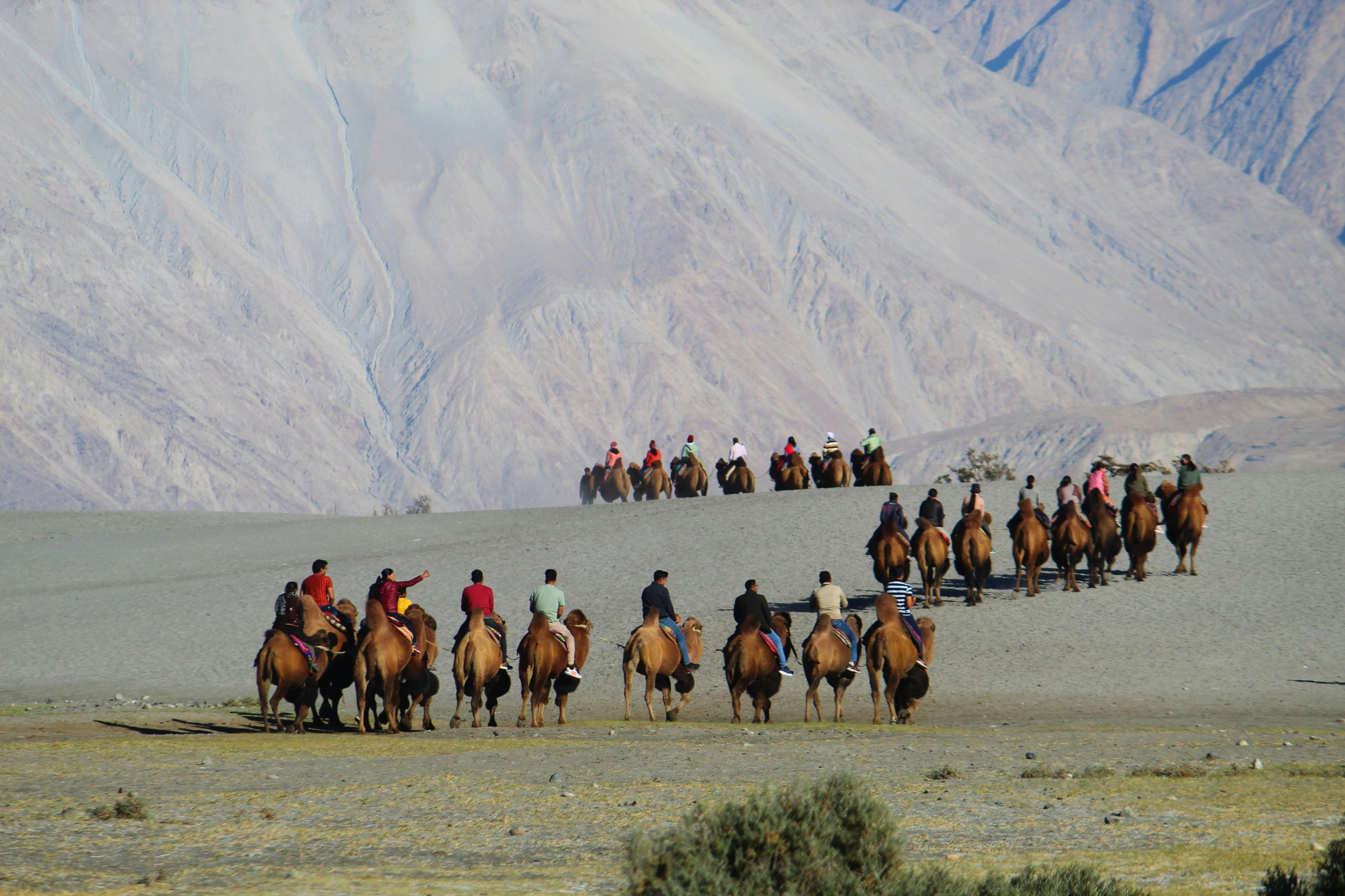 Ladakh Tour Package