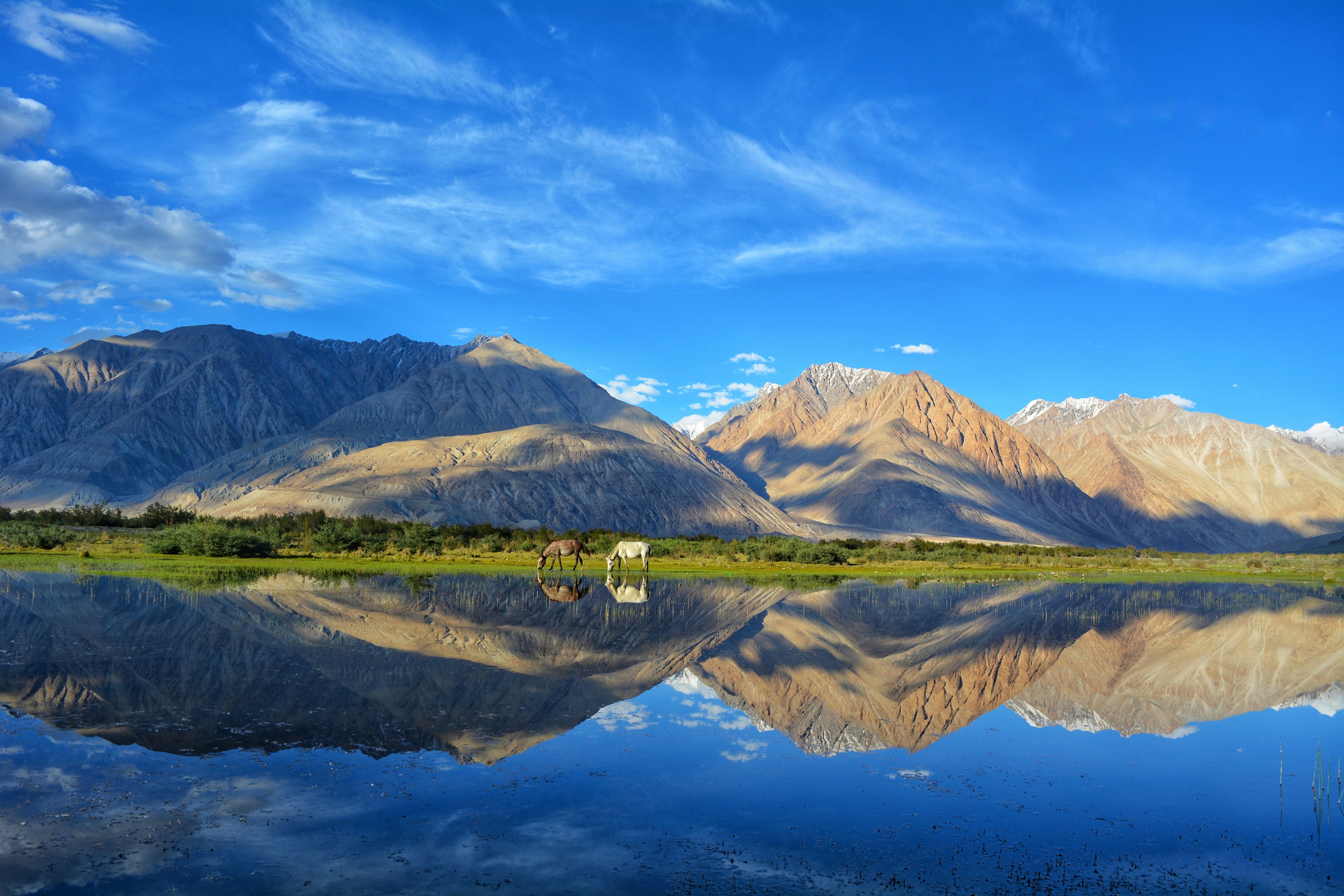 Ladakh And Srinagar Tour