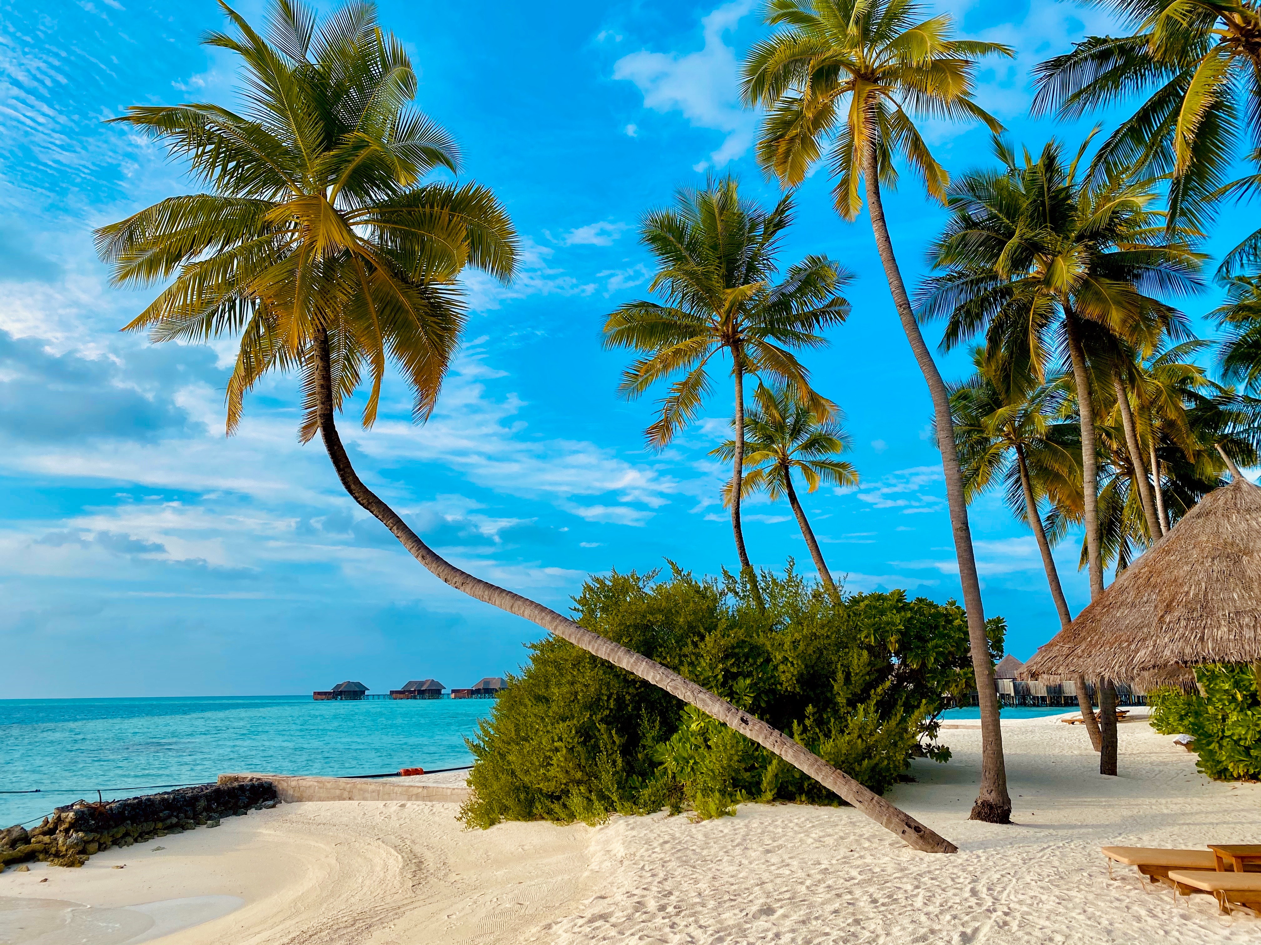 Andaman Tour Package