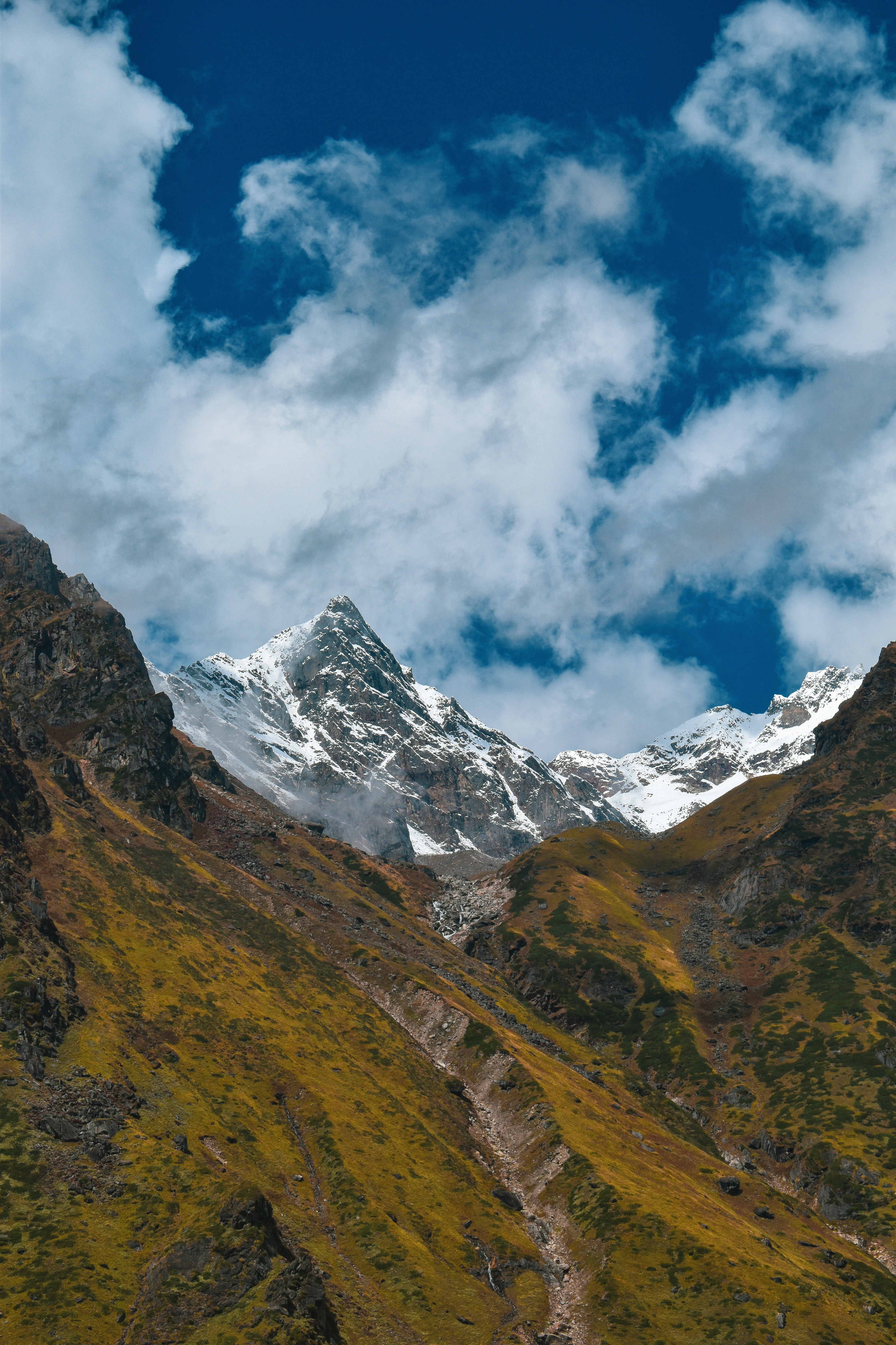 Dhanaulti Harsil Tour Package