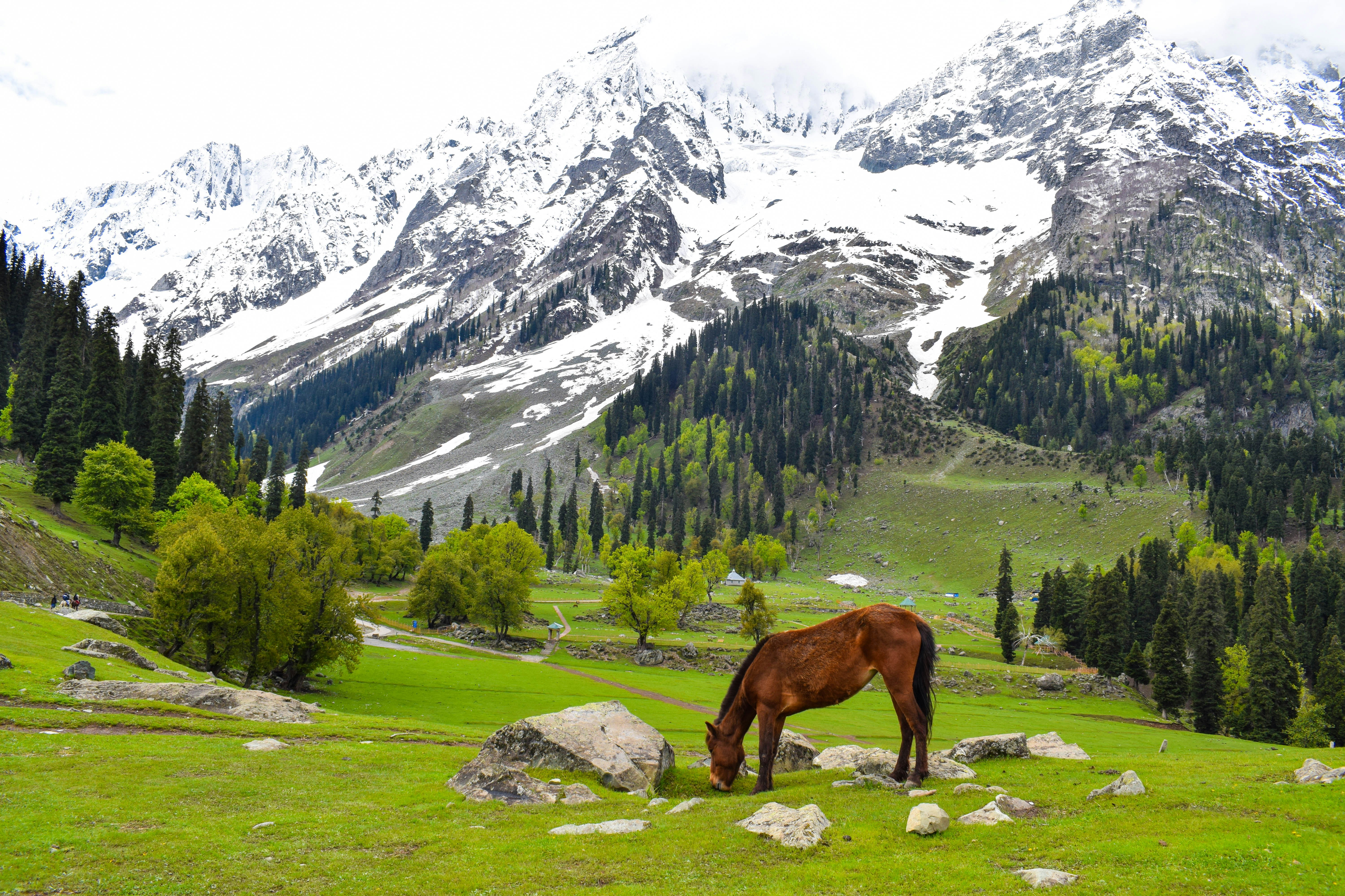 Katra Kashmir Tour Package